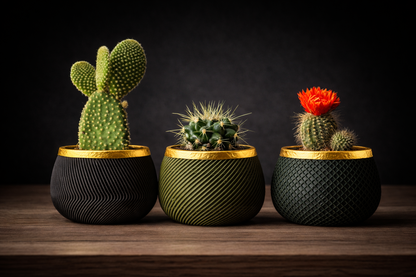 Zen Amber Planter – Premium Minimal Accent Vase